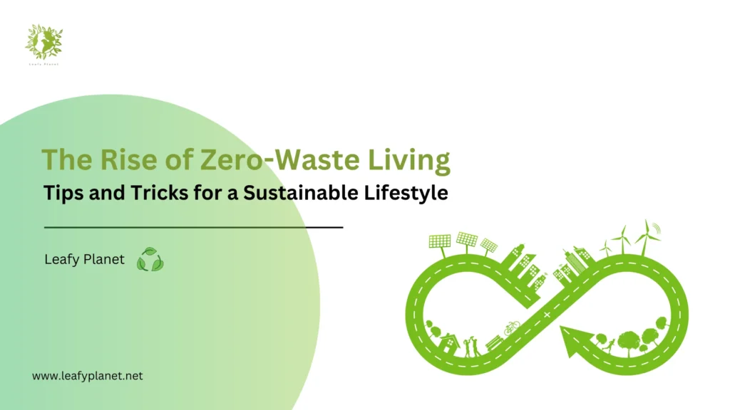 Zero-Waste Living